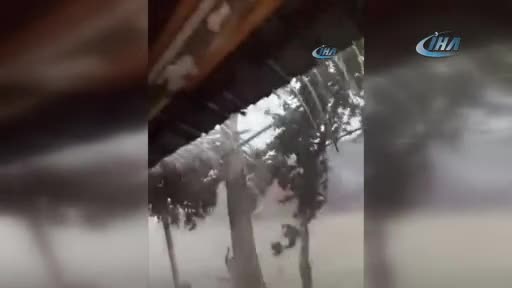 Bursa'da dolu yüzlerce kuşu telef etti!