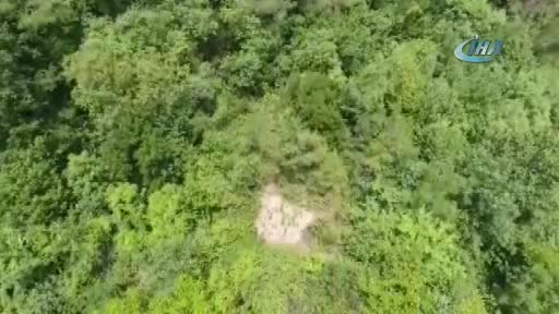 Bursa'da jandarma drone ile tespit etti, operasyon düzenlendi!
