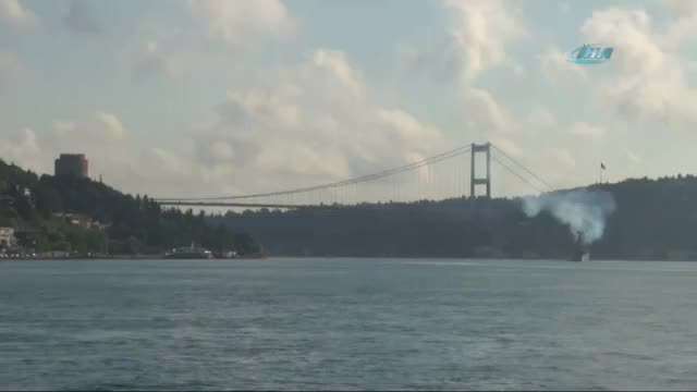 Yunuslar İstanbul Boğazı'nda renkli görüntülere sahne oldu