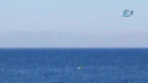 Bursa'da balıkçının oltasına martı takıldı