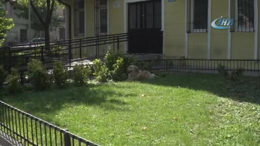 Bursa'da can dostlar için her köşeye bir kap su