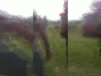 Vahşet! Hayvanları silahla vurup, kafalarını kestiler...