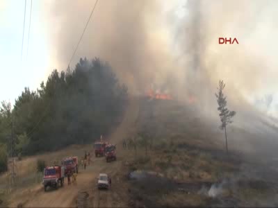 İzmir'de yangın: Rüzgarın etkisi, yangına müdahaleyi güçleştiriyor