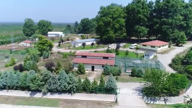 Suriye'den Bursa'ya getirilen hayvanların tehlikeli yolculuğu görüntülendi - 2