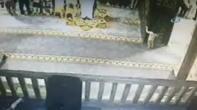 Minik yaramaz yaşlı adamın taburesini alınca...