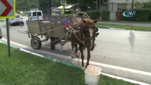 Bursa'da hırsızlıktan aranan hurdacı, at arabasıyla polis aracına çarptı