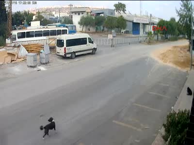 Vahşet... Köpeği bilerek, ezip kaçtı!