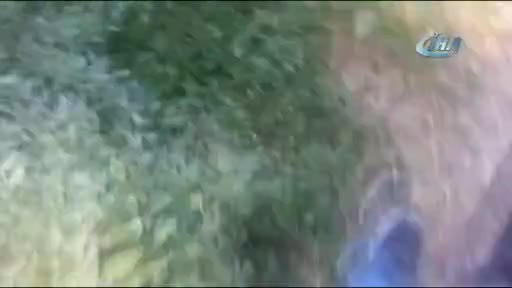 Bursa İznik'te Hint keneviri operasyonu