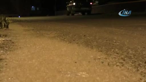 Kelebeklerin ölüm dansı başladı