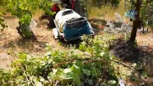 Bursa'da traktör sürücüsünü zeytin ağacı kurtardı