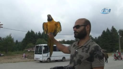 Bursa Uludağ'da papağanla fotoğraf çekilmek için sıraya girdiler