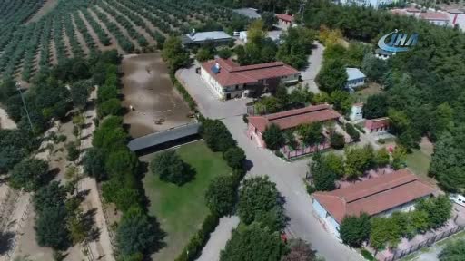 Bursa'da Hayvan Barınağı'nın keçilerine yoğun talep!