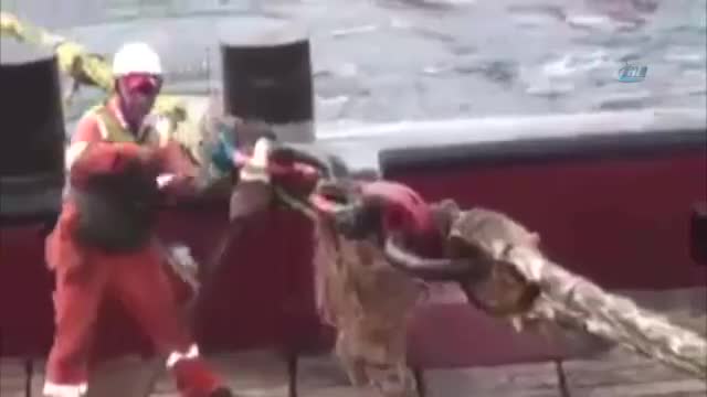 Kopan halat denizciyi canından etti
