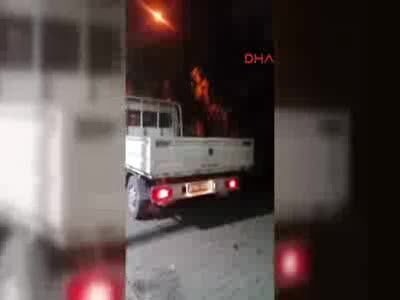 Bursa'da kaçan boğa uyuşturucu iğne ile yakalandı