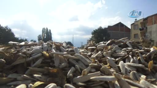 Bursa'da çifte değil yolda kavrulmuş çekirdek