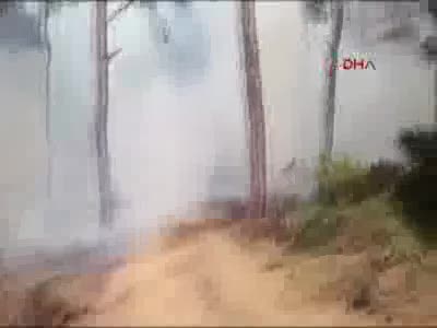 Yangın yeniden başladı, mahalle tahliye edildi