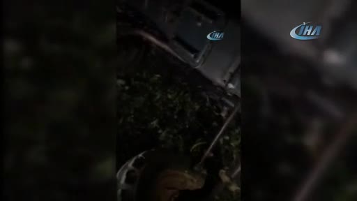 Bursa'da tarlaya gidince çiftçinin cesediyle karşılaştılar