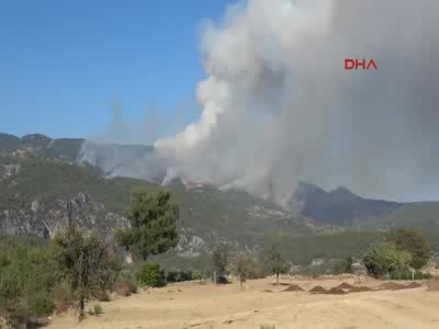 Muğla'da orman yangını - 2