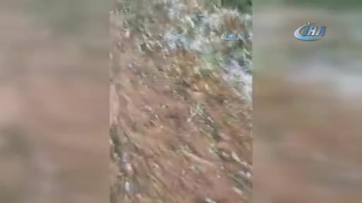 Bursa'da dolu yağışı zeytin ve üzümü vurdu