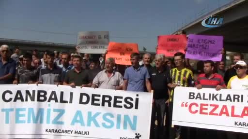 Bursa Karacabey'deki balık katliamları protesto edildi
