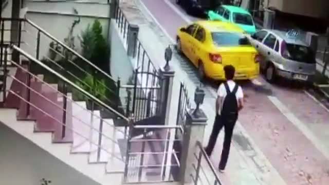Taksici köpeği ezip ardına bakmadan kaçtı!