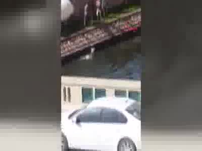 Eskişehir'de inanılmaz görüntü! Atı böyle kurtardılar