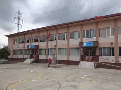 Okul bahçesinde yuva yapan arılar öğrencilere saldırdı