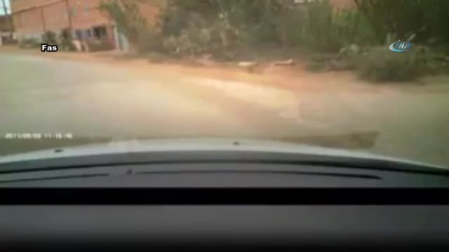 Kontrolü kaybedince ağaçlık alana uçtular