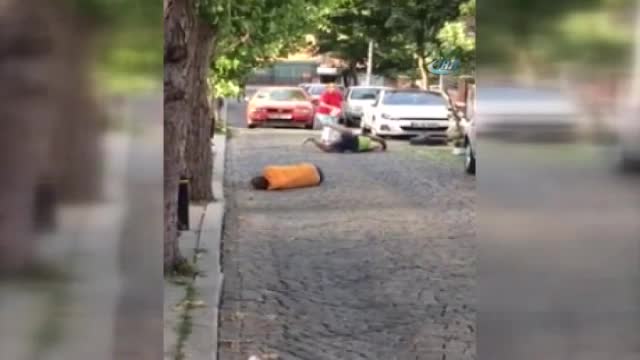 Şehrin göbeğinde ibretlik bonzai krizleri!