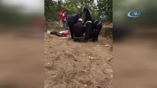 Bursa'da köyde, yavru kedi kurtarma operasyonu
