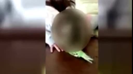 "Öldürdün kuşu" diyerek kızını böyle ağlattı