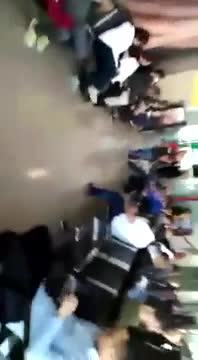 Avusturya polisi Türk yolcuları köpeklerle aradı!