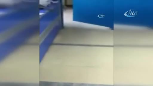 Sağlıkçıların yaralı tavuğu hastaneye getiren vatandaşla imtihanı