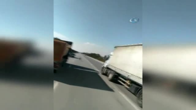 Sıpanın güldüren yolculuğu