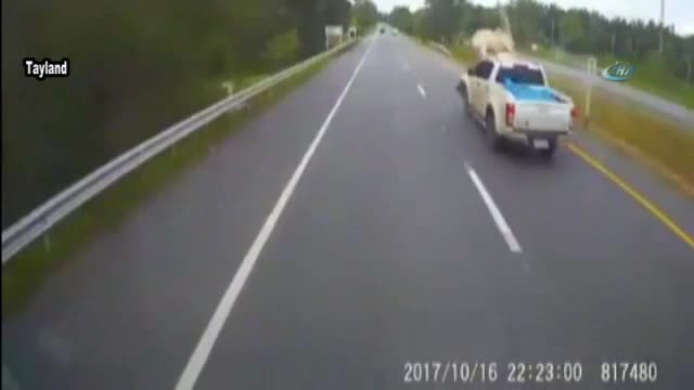 Kamyonet yola çıkan ineğe çarptı