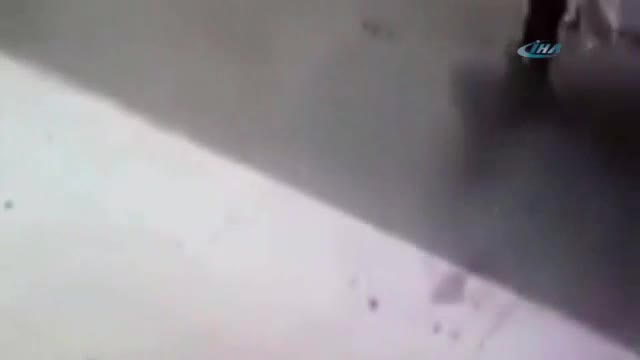 Öfkeli kedi adamı hastanelik etti