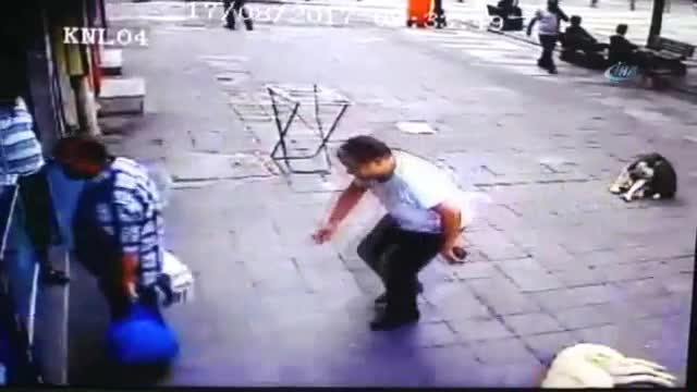 Köpek korkusu olan adama köpek şakası