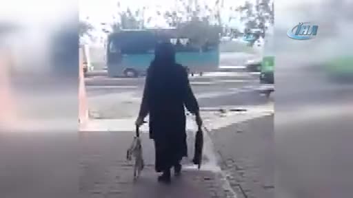 Yaşlı kadın zehirlediği kedileri çöpe attı!