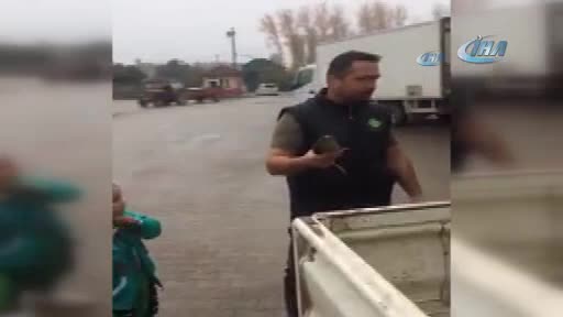 Bursa'da uçarken cama çarpan yavru şahine vatandaş şefkati