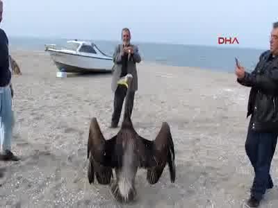 Bursa'da göç yolunda zorunlu mola