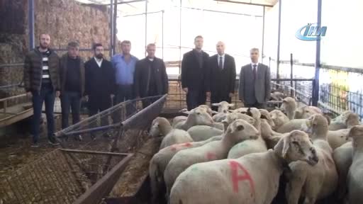 Bursa'da eski mahkumlara koyun dağıtıldı