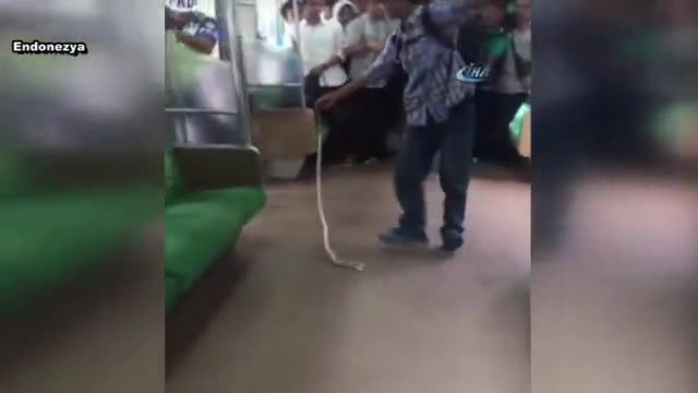 Trenden çıkan yılanı böyle öldürdü