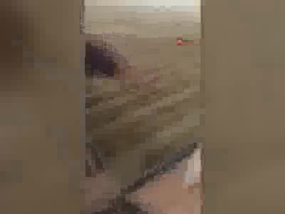 Kafalarını koparıp çatıdan attılar! Cezaları belli oldu
