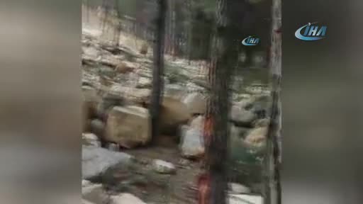 Bursa'da kamyonların döktüğü kayalar ormanlık alandaki ağaçları yerle bir etti