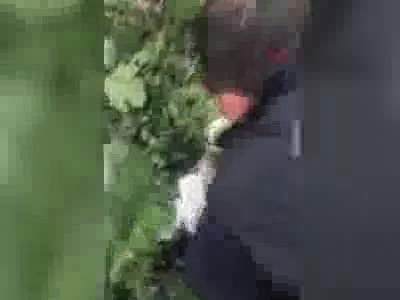 İstanbul'da 123 tüp içerisinde kobra zehiri ele geçirildi