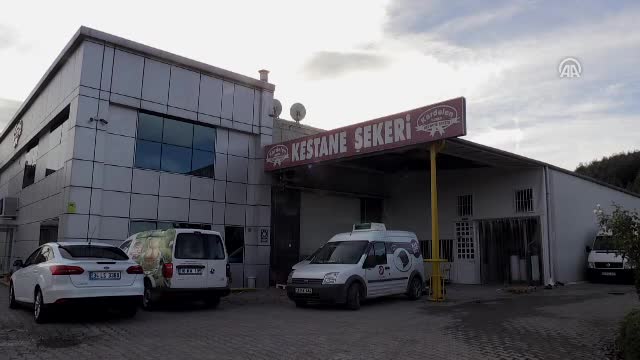 9 il üretiyor Bursa'da şekerleniyor