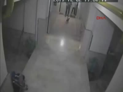 Bir cani daha! Evinin önünde gelen kediye tekme attı...
