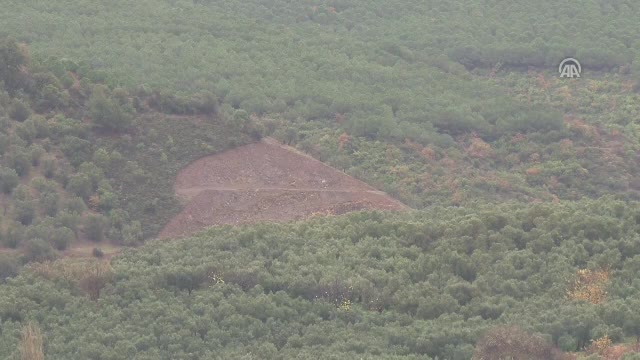 Bursa Mudanya'da zeytin ağaçlarının söküldüğü iddiası