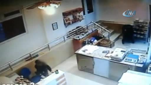 Bursa'da pitbullu gençler küçük çocuğa hırsızlık yaptırdı