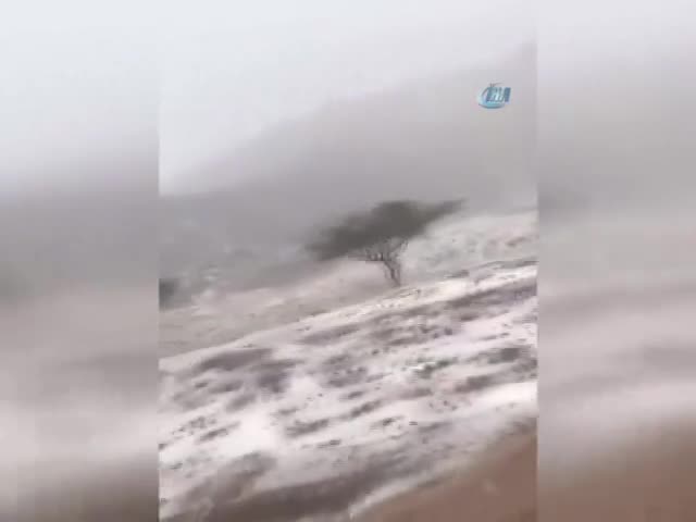 Birleşik Arap Emirlikleri'nde çöle kar yağdı
